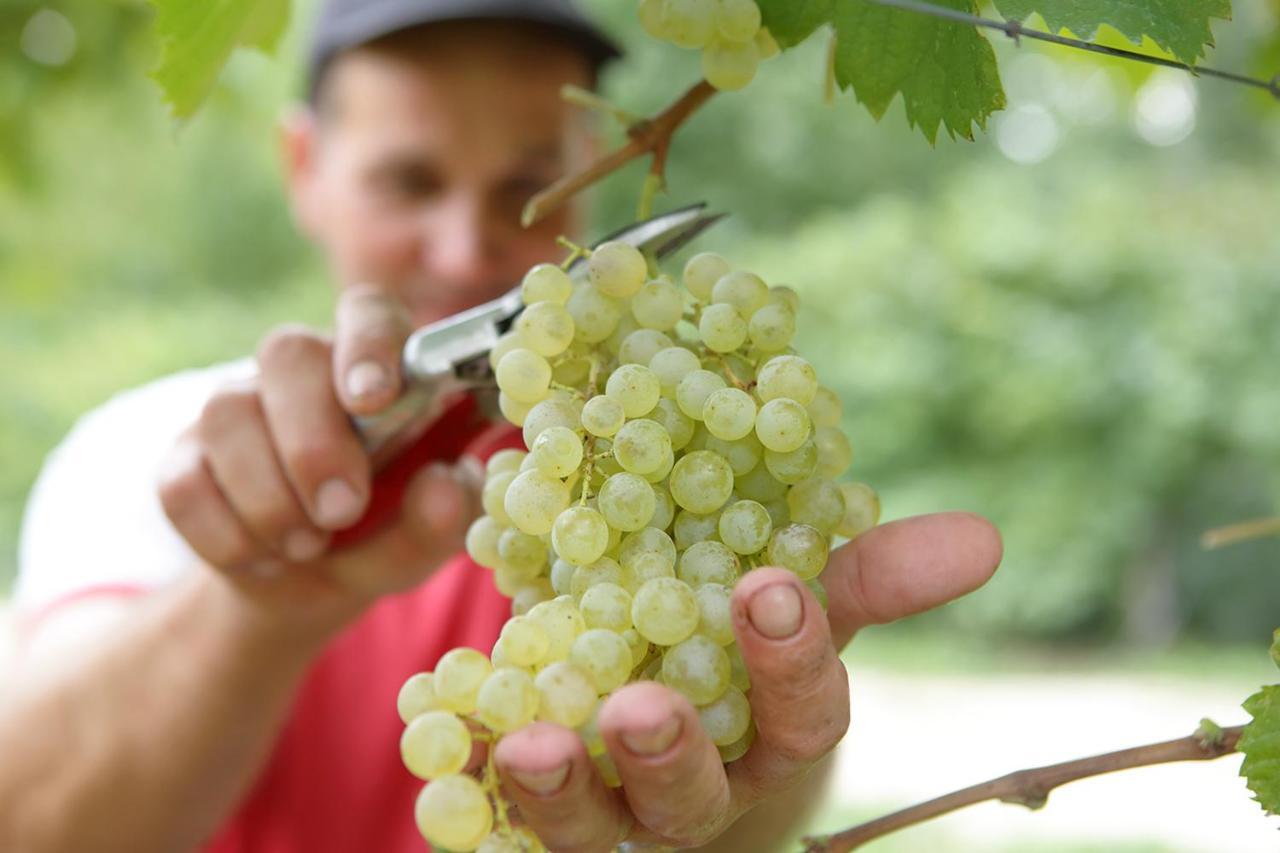 Tenuta Santome Biancade Екстериор снимка